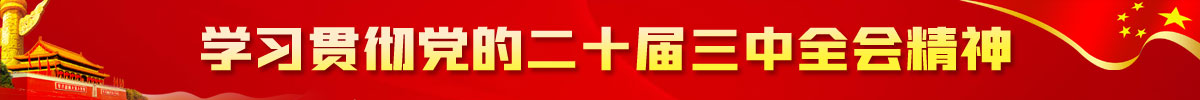 學(xué)習(xí)貫徹黨的二十屆三中全會(huì)精神